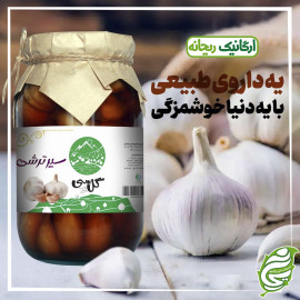 ترشی سیر گل باغ سی